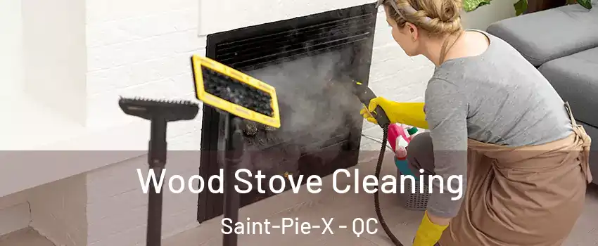 Wood Stove Cleaning Saint-Pie-X - QC