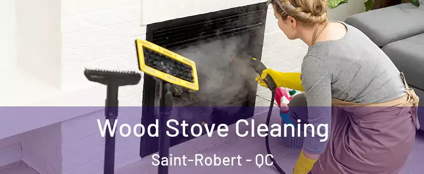  Wood Stove Cleaning Saint-Robert - QC