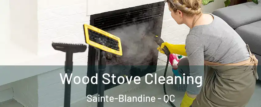  Wood Stove Cleaning Sainte-Blandine - QC