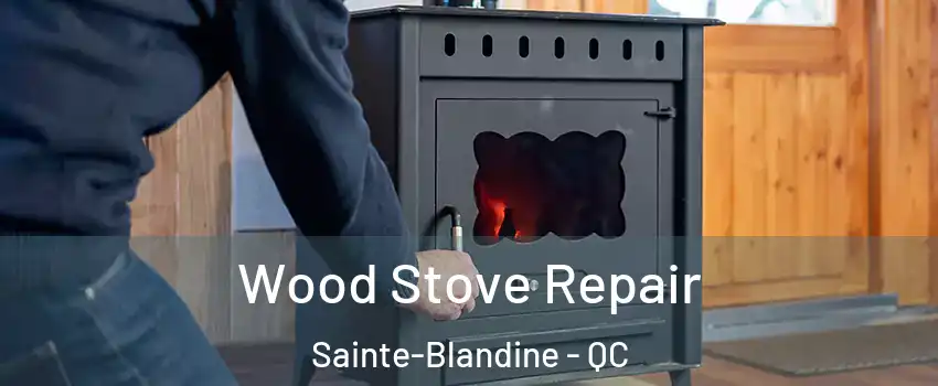  Wood Stove Repair Sainte-Blandine - QC
