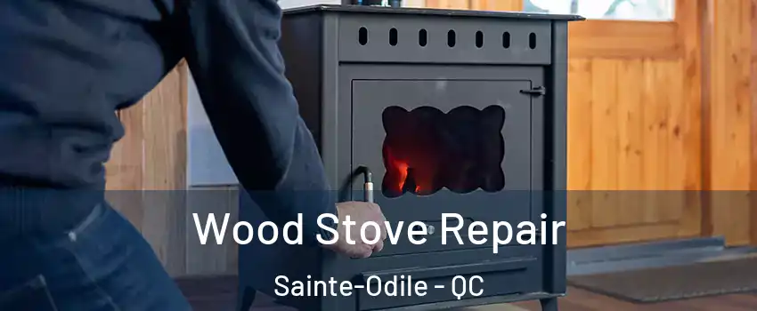  Wood Stove Repair Sainte-Odile - QC